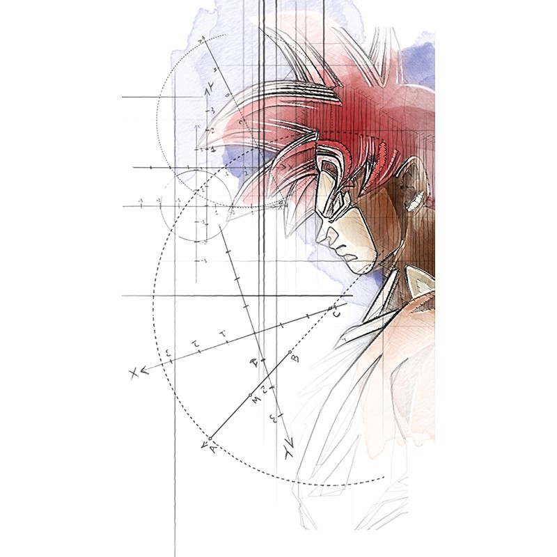 Geometric Goku